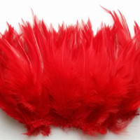 50 шт. натуральные красочные петушиные перья, вязание мушек, перья оптом, рождественские украшения для дома, свадьбы, Нового года, косплей, распродажа