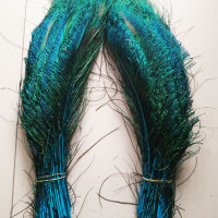 Оптовая продажа бесплатная хорошая доставка Высокое качество 20 шт. натуральное павлинье перо 30-35 см/12-14 дюймов различные декоративные hu blue hot