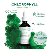 Хлорофилл концентрат, Chlorophyll Energy Booster со вкусом мяты, Жидкий пищевой хлорофилл 90 порций, 100 мл