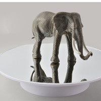 Панорамный дисплей с зеркалом, 25 см, 360 градусов