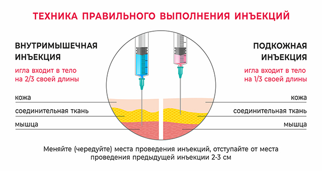 Текстовое описание изображения
