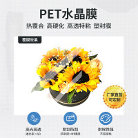 艺都厂家直销影楼无框画玻璃膜高硬化特粘保护膜PET水晶膜硬化膜