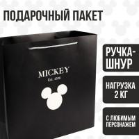 Пакет ламинат Микки Маус "Mickey & Co", 30 х 30 х 12
