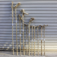 仙賜奇木老人杖加粗天然藤條實木手杖戶外登山杖Cosplay徒步手杖