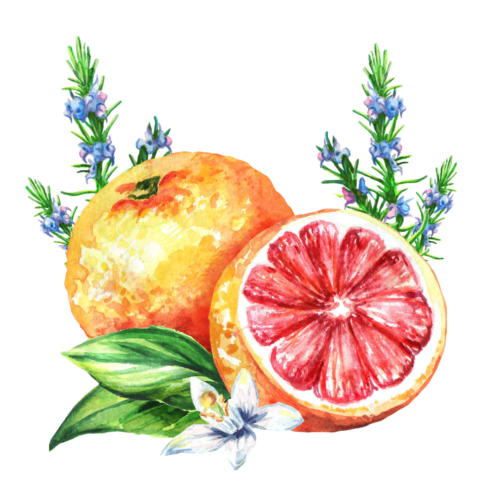 Текст при отключенной в браузере загрузке изображений