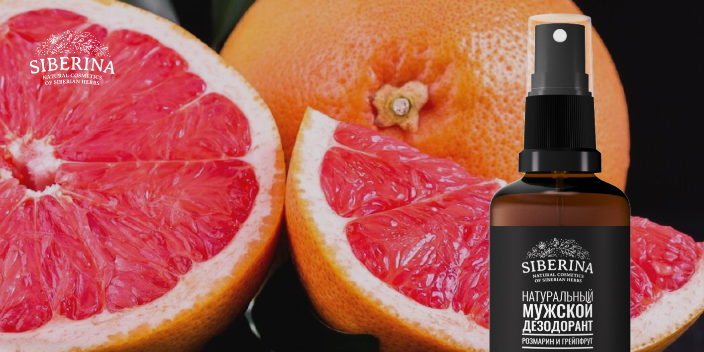 Текстовое описание изображения