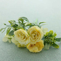 Креативное Сетчатое платье, кружевная ткань, реквизит для фотосъемки новорожденных детей, тема весенней и летней одежды