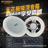 HYUNDAI/现代 吸顶喇叭 功放广播音响超市 背景音乐系统 蓝牙分区