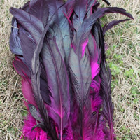 Перья из натурального петуха, 25-30 см, 10-12 дюймов, 10 шт./лот