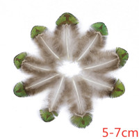 Натуральные перья петуха, павлина, фазана, 5-10 см, украшение для изготовления украшений, тканевые Швейные аксессуары, рукоделие, шлейф 20 шт./лот