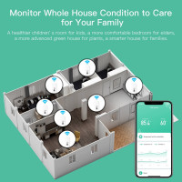 Беспроводной термометр-гигрометр с Wi-Fi и пультом дистанционного управления