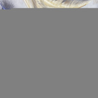 男鞋春季新款頭層牛皮歐洲站潮流軟底厚底百搭真皮男士運動休閒鞋