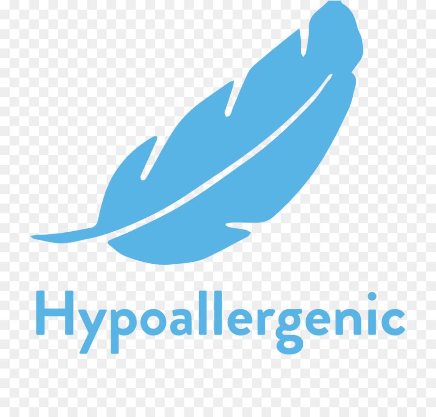 Текст при отключенной в браузере загрузке изображений