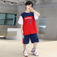 Детский спортивный костюм, футболка с коротким рукавом и шорты, на возраст 5-14 лет