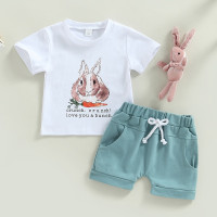 Пасхальные комплекты одежды для маленьких мальчиков, наряды с мультяшным принтом кролика, летняя футболка с коротким рукавом + повседневные эластичные шорты, комплект из 2 предметов для детей