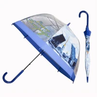 Зонт трость с видами Спб