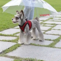 Зонт для собак, прозрачный, 72см