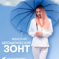 Зонт женский автомат антиветер 12 спиц