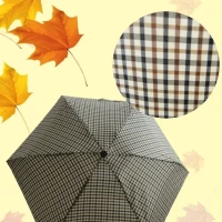 Зонт автомат компактный