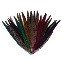 Натуральные Куриные перья фазана 10-12 дюймов/25-30 см, 10 шт./комплект