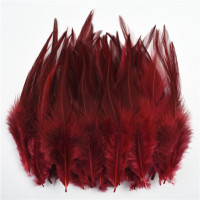 20 шт./партия, перья фазана для украшения одежды