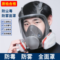 防毒面具全面罩防毒面罩全臉防塵電焊呼吸噴漆防護專用打農藥毒氣