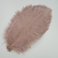 Страусиные перья для рукоделия, белые перья страуса для рукоделия, карнавала, свадьбы, декоративные аксессуары, 10 шт., 15-20 см, 6-8 дюймов