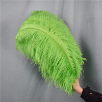 Декоративное перо страуса, перо яблоко зеленого цвета, 15-70 см/6-28 дюймов, шлейф для рукоделия, украшения для свадьбы, вечеринки, Рождества