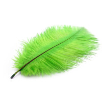 10 шт./лот, зеленые Страусиные перышки для украшения 15-70 см/6-28 дюймов, страусиные перья для рукоделия, перышки для рукоделия, сделай сам, водопады, Carnaval