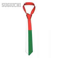 Мадагаскарский флаг эмблема Мужчины Женщины шейные Галстуки Повседневный галстук в клетку костюмы Тонкий Свадебный галстук для вечеринки в деловом стиле галстук