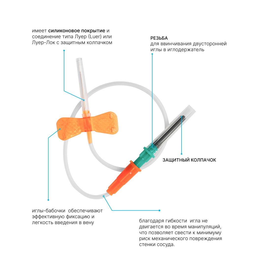 Текстовое описание изображения