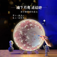 DIY玉兔灯月球灯diy材料包玫瑰兔兔灯创意礼品七夕情人节礼物专属