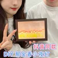 郁金香小夜灯DIY发光摆件 手工创意礼品郁金香相框小夜灯抖音同款