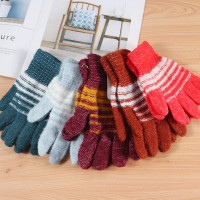 厂家直销冬季新款时尚保暖手套男女式骑行触屏全指五指手批发两