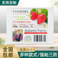 厂家供应打印机不干胶标签纸连续铜版贴纸吸墨合成喷墨打印纸