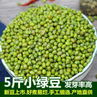 【比價還便宜】綠豆5斤東北新綠豆粥解暑笨綠豆湯發豆芽250g