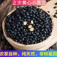 廣東黃心小黑豆農家自產有機黑豆非基因改造五穀雜糧醋泡打豆漿500g