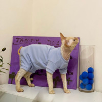 Одежда для кошек и Сфинкса, мягкая Пижама для котят и кошек, теплый комбинезон для маленьких собак, толстовки, костюмы для сфинкса, Devon, одежда для кошек