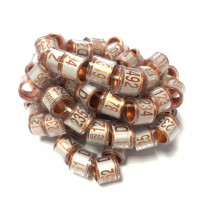 Красочные внутренние кольца в виде голубей, индивидуальное кольцо в виде голубей, 2023 FCC 001-100 с белым зеркальным золотом