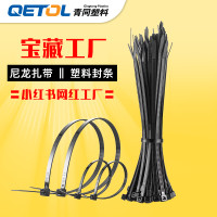 尼龙扎带黑色批发户外用3*4*5*8*10*100*150*200*250*300*400扎带