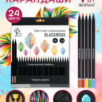 Набор цветных карандашей АРТформат Blackwood, 6В мягкие, 24 шт