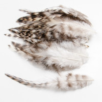 50 шт./упаковка, натуральные перья фазана для поделок