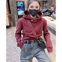 歐洲站2023春季新款時髦休閒寬鬆連帽運動衫百搭純色洋派長袖上衣女