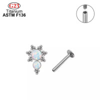 Новый модный имплантат из титана класса ASTM F136, 16G, искусственное прокол лапы