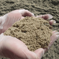 Песок речной для растений 1 кг/ модуль крупности до 2 мм/для грунта., для дренажа., просеянный, мытый, экопродукт.