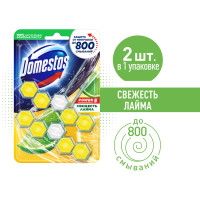 Блок для унитаза Domestos Power 5 Свежесть лайма защита от микробов и налета, 2х55 гр