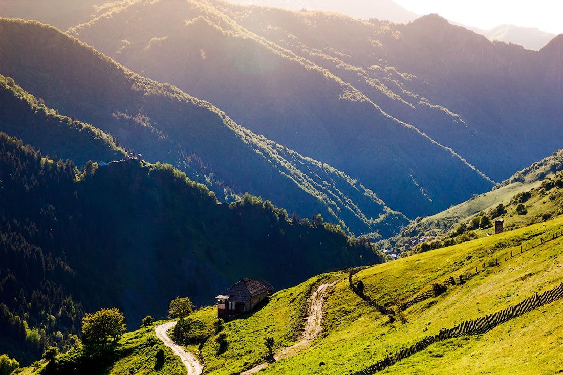 Текстовое описание изображения