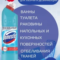 Чистящее средство Domestos Эвкалипт 750 мл