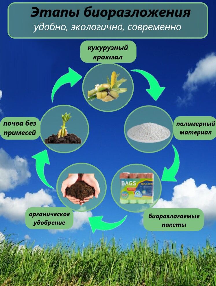 Текст при отключенной в браузере загрузке изображений