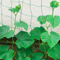 Шпалера для огурцов 2,0х5м (высота 2м длина 5м) сетка для вьющихся растений DE.06.2018